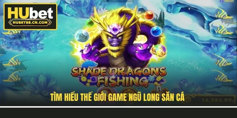 Tìm hiểu thế giới game Ngũ Long Săn Cá